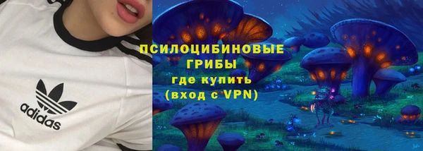 apvp Абаза