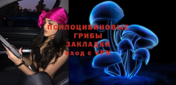 apvp Абаза